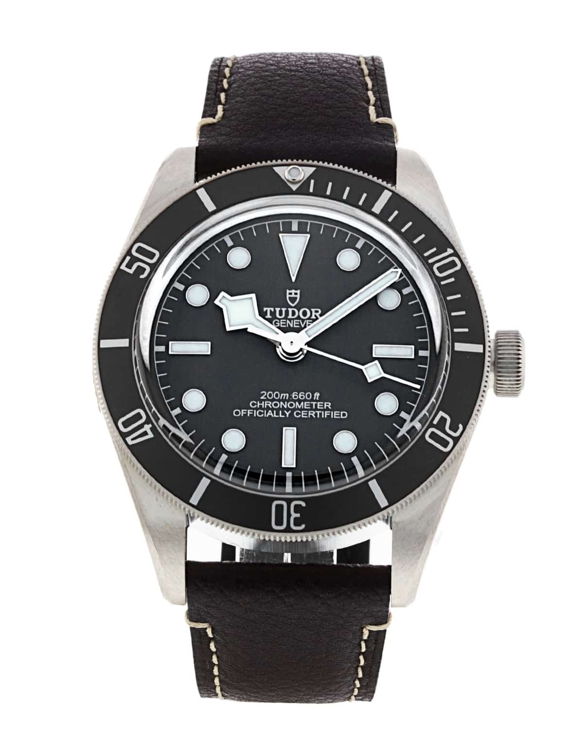 Tudor Black Bay M79010SG-0001